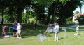 b_120_0_16777215_0_0_img_aktualnosci_piknik_park_podworski_01062025_piknik_park_dworski_062025-4.jpg