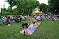 b_120_0_16777215_0_0_img_aktualnosci_piknik_park_podworski_01062025_piknik_park_dworski_062025-70.jpg