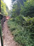 b_120_0_16777215_0_0_img_aktualnosci_seniorzy_bieszczady_2025_seniorzy_bieszczady_2025-2.jpg