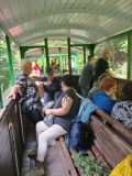 b_120_0_16777215_0_0_img_aktualnosci_seniorzy_bieszczady_2025_seniorzy_bieszczady_2025-22.jpg