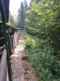 b_120_0_16777215_0_0_img_aktualnosci_seniorzy_bieszczady_2025_seniorzy_bieszczady_2025-23.jpg