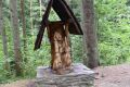 b_120_0_16777215_0_0_img_aktualnosci_seniorzy_bieszczady_2025_seniorzy_bieszczady_2025-29.jpg