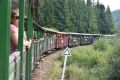 b_120_0_16777215_0_0_img_aktualnosci_seniorzy_bieszczady_2025_seniorzy_bieszczady_2025-40.jpg