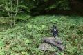 b_120_0_16777215_0_0_img_aktualnosci_seniorzy_bieszczady_2025_seniorzy_bieszczady_2025-42.jpg